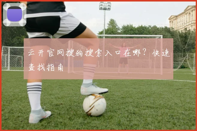 云开官网搜狗搜索入口在哪?快速查找指南