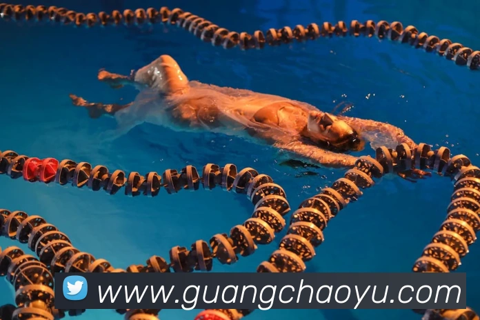 多终端兼容
